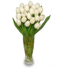 Category Image