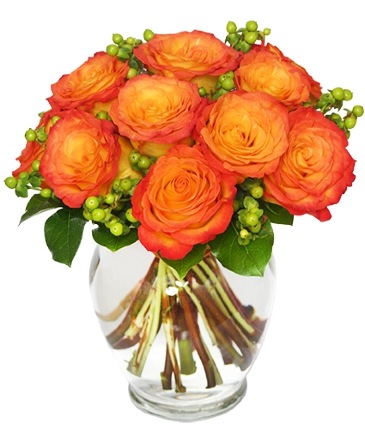 Flames of Passion Dozen Roses in Matthews, NC | Luxury Flowers