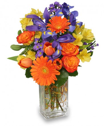 Happiness Grows Arrangement in Baton Rouge, LA | FLOWER BASKET