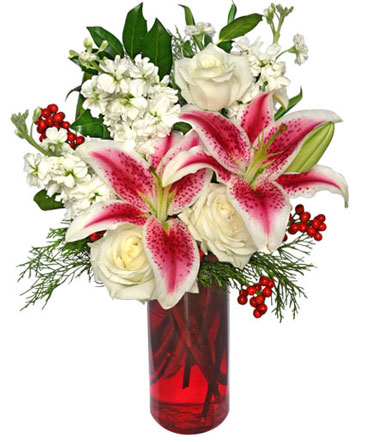 Holiday Beauty Arrangement in Lancaster, OH | The Flower Pot