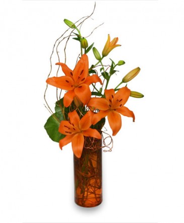 ORANGE YOU GREAT Flower Arrangement in Richland, WA | ARLENE'S FLOWERS AND GIFTS ORANGE YOU GREAT Flower Arrangement in Richland, WA | ARLENE'S FLOWERS AND GIFTS