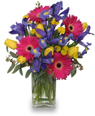 Spring Smiles Arrangement | Just Because | Flower Shop Network