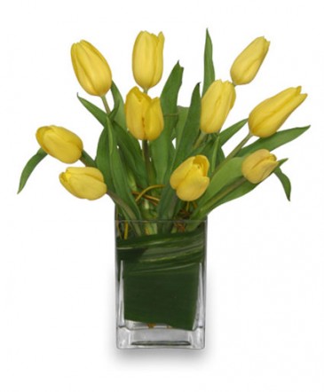 SUNNY TULIPS Floral Arrangement in Gambrills, MD | Little House Of Flowers