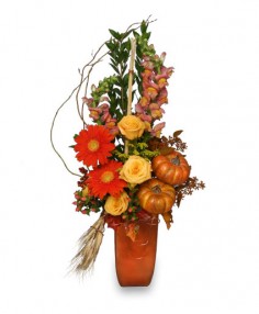 Category Image