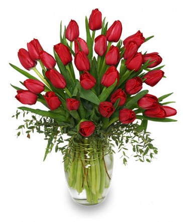CHERRY RED TULIPS Bouquet in Montague, PE | COUNTRY GARDEN FLORIST