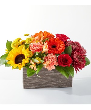 FTD Autumn Orchard Bouquet 24-F3