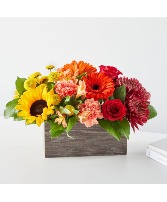 FTD Autumn Orchard Bouquet F3