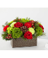 FTD Bundled Up Bouquet 