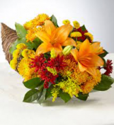 FTD FEAST OF COLOR