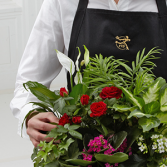 FTD Florist Designed Blooming and Green Plants  Dish Garden