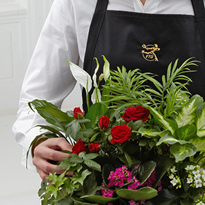 FTD Florist Designed Blooming and Green Plants Dish Garden