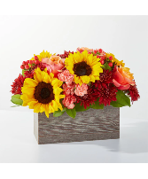 FTD Fresh Cider Bouquet 