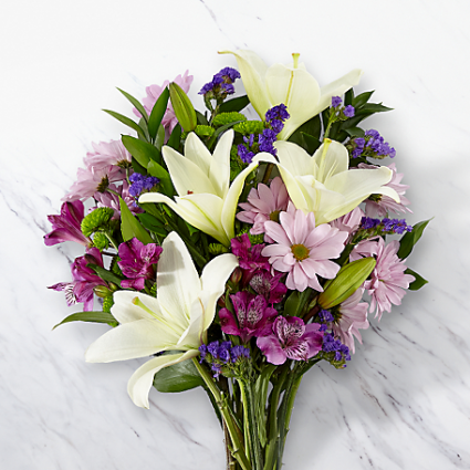Lavender Fields - 888 Cut Flowers