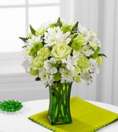 FTD Lime-Licious
