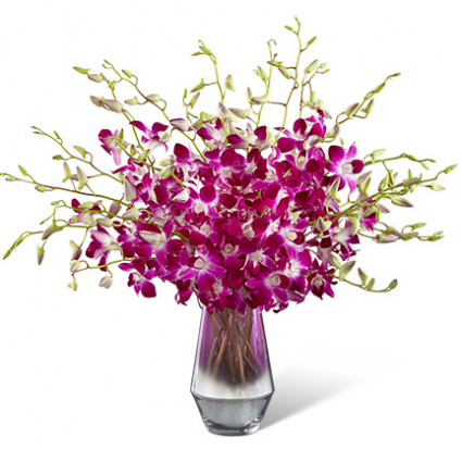 FTD Pink at Heart  Orchid Bouquet