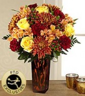 FTD Your special