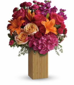 Fuchsia Fantasy HEV141A