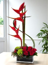 “Fuego que Nos Une” Valentine 2026