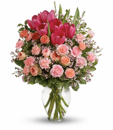 Full of Love HEV242C