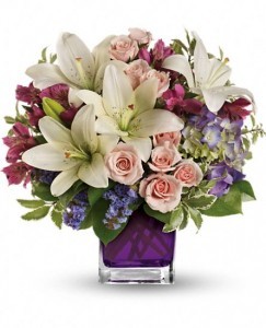 Glorious Blooms
