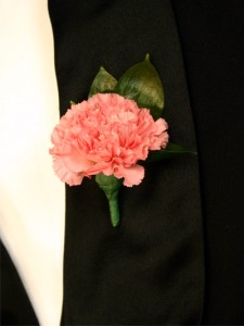FULL SIZE PINK CARNATION