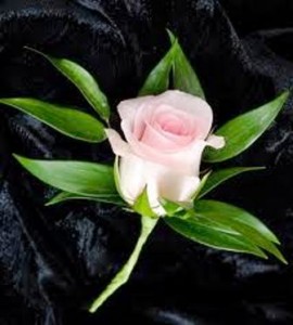 FULL SIZE PINK ROSE