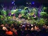 Full Stage Jungle Theme Rental  