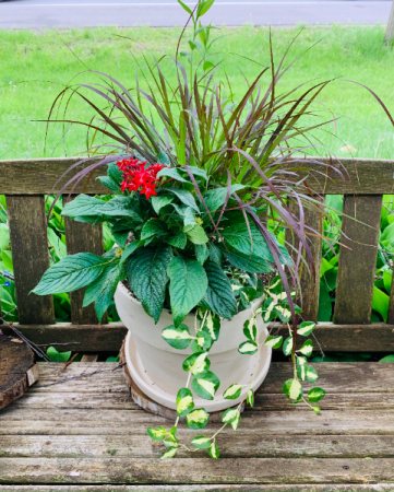 Full Sun Mixed Planter