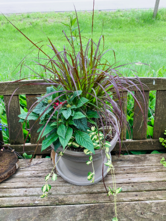 Full Sun Planter Grey