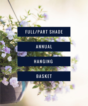 Full/Part Shade Hanging Basket