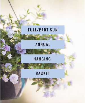 Full/Part Sun  Hanging Basket