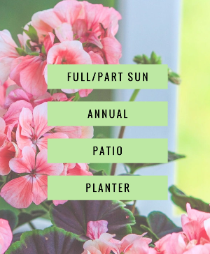 Full/Part Sun Planter