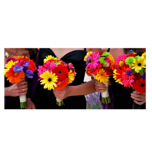 Fun Gerber Daisy Bouquet! Pick your Color(s)! in Allen, TX | Lovejoy Flower and Gift Shop Fun Gerber Daisy Bouquet! Pick your Color(s)! in Allen, TX | Lovejoy Flower and Gift Shop