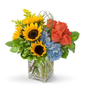 Fun in the Sun in Zanesville, OH | FLORAFINO FLOWER MARKET & GREENHOUSES Fun in the Sun in Zanesville, OH | FLORAFINO FLOWER MARKET & GREENHOUSES
