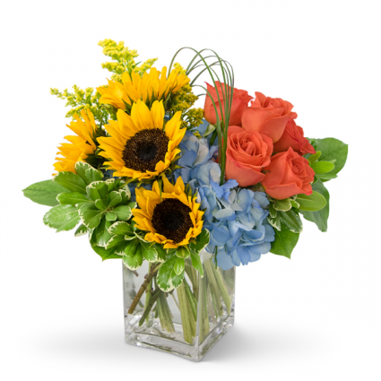 Fun in the Sun Arrangement