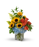 Fun in the Sun Arrangement