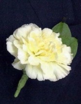 FUNERAL BOUTONNIERE/COURSAGE $7.99 In Memorial Dedication/colors AVL 