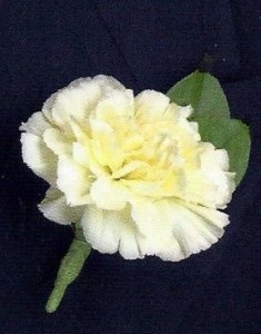 FUNERAL BOUTONNIERE/COURSAGE $7.99 In Memorial Dedication/colors AVL in Fairfield, CA | ADNARA FLOWERS & MORE FUNERAL BOUTONNIERE/COURSAGE $7.99 In Memorial Dedication/colors AVL in Fairfield, CA | ADNARA FLOWERS & MORE