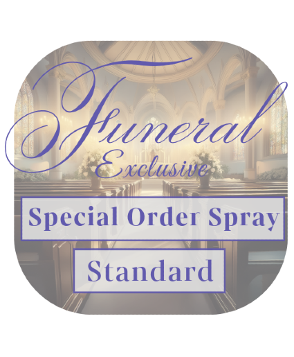 Funeral Home Exclusive Special Standard Spray Funeral Spray