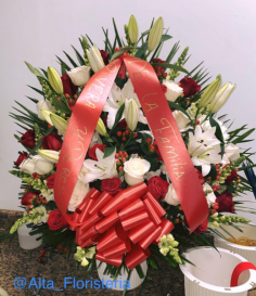 Category Image