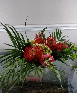 Funky Orange Proteas 