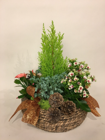 Funny Winter Lawn Christmas Planter
