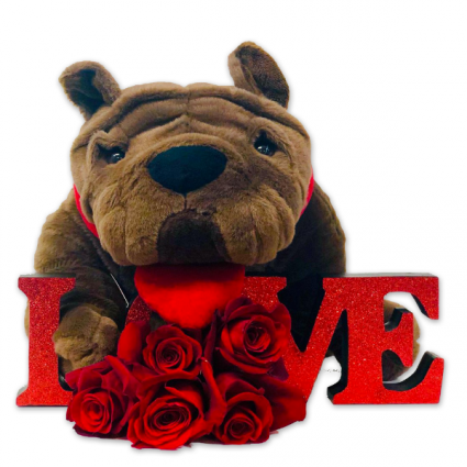 Funny Love