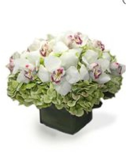 fuquay Elegance Antique hydrangeas with white cymbidium orchids in a square vase