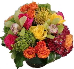 citrus twist Cut Floral Arrangement