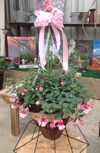 Fairy Tale Fuschia Hanging Basket