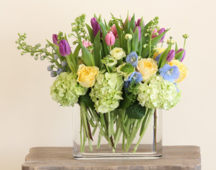 Hollands Surprise Bouquet 