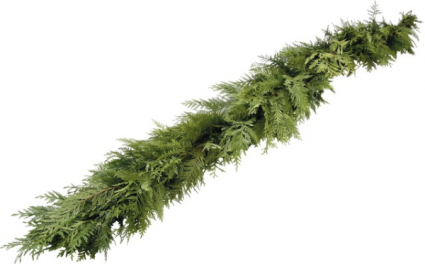 G3 Western Cedar Garland Libbey