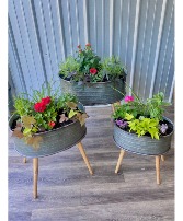 Galvanized Metal Planters Galvanized Metal Planters