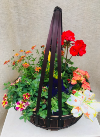 Garden Basket Assorted Outdoor Plants